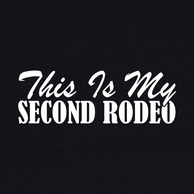 This Is My Second Rodeo by Sigmoid